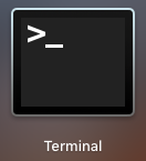 Terminal