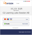 C3ll-systems-payments-Payson-Pay-2.png